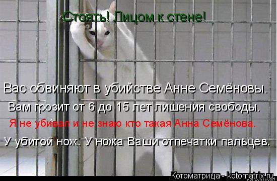 Котоматрица: Стоять! Лицом к стене! Вас обвиняют в убийстве Анне Семёновы. Вам грозит от 6 до 15 лет лишения свободы. Я не убивал и не знаю кто такая Анна Сем
