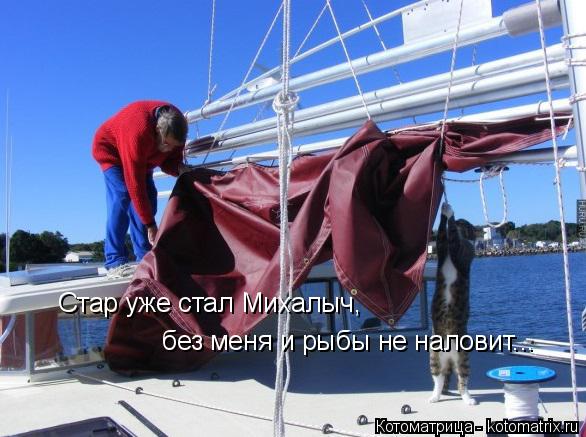 Стар уже стал Михалыч, без меня и рыбы не наловит...... Котоматрица: Стар уже стал Михалыч, без меня и рыбы не наловит...