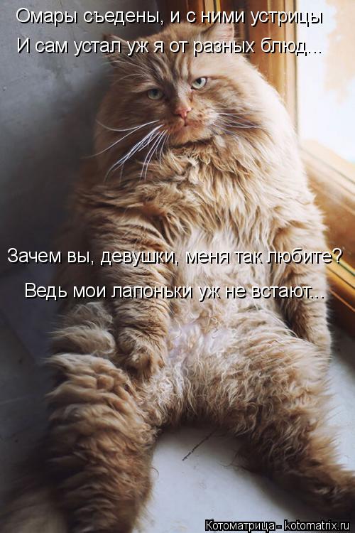 Котоматрица: Омары съедены, и с ними устрицы Зачем вы, девушки, меня так любите? Ведь мои лапоньки уж не встают... И сам устал уж я от разных блюд...