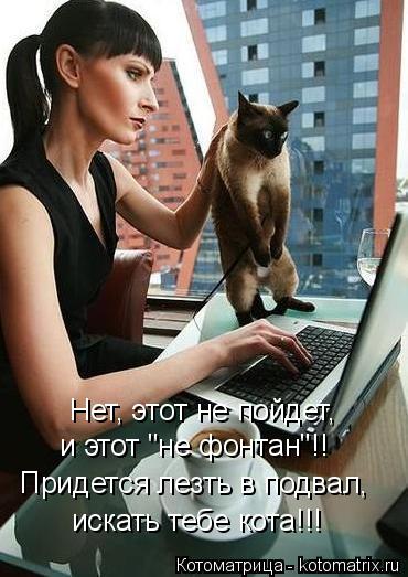 Котоматрица: Придется лезть в подвал, искать тебе кота!!! Нет, этот не пойдет, и этот "не фонтан"!!