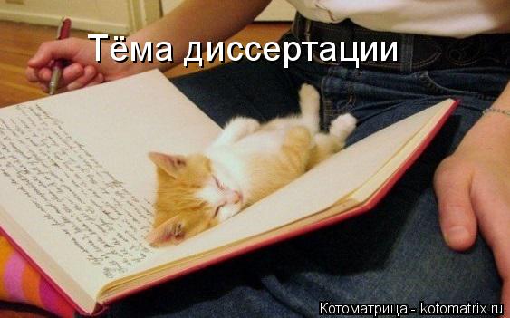 Тёма диссертации... Котоматрица: Тёма диссертации