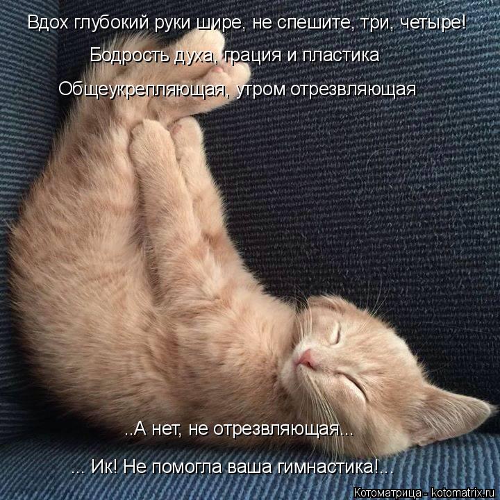 Котоматрица: Вдох глубокий руки шире, не спешите, три, четыре! Бодрость духа, грация и пластика Общеукрепляющая, утром отрезвляющая ..А нет, не отрезвляющ