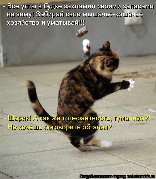 Котоматрица: - Все углы в будке захламил своими запасами на зиму! Забирай свое мышачье-кошачье хозяйство и уматывай!!! - Шарик! А как же толерантность, гума