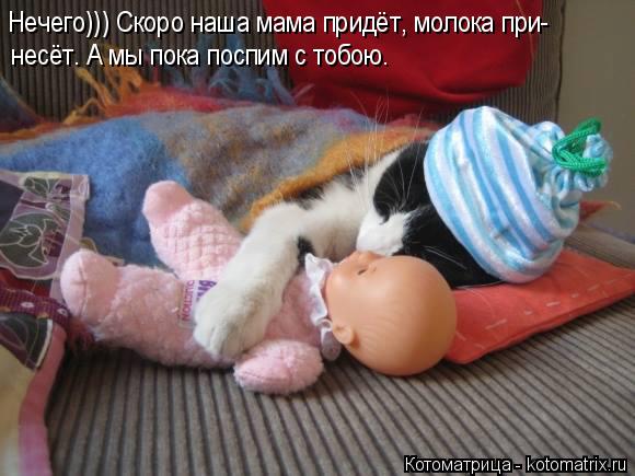 Котоматрица: Нечего))) Скоро наша мама придёт, молока при- несёт. А мы пока поспим с тобою.