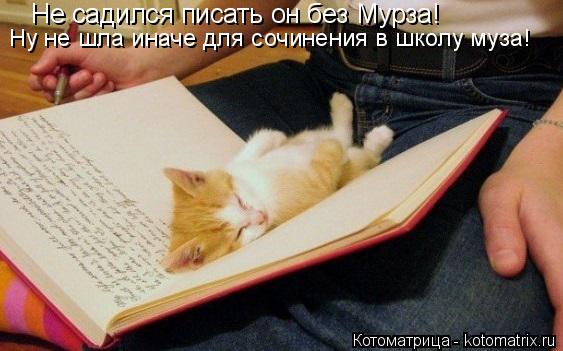 Котоматрица: Не садился писать он без Мурза! Ну не шла иначе для сочинения в школу муза!