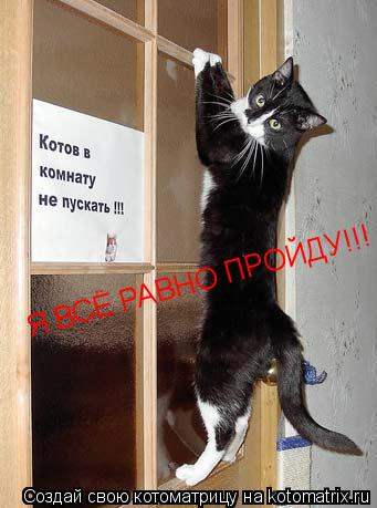 Котоматрица: Я ВСЁ РАВНО ПРОЙДУ!!!