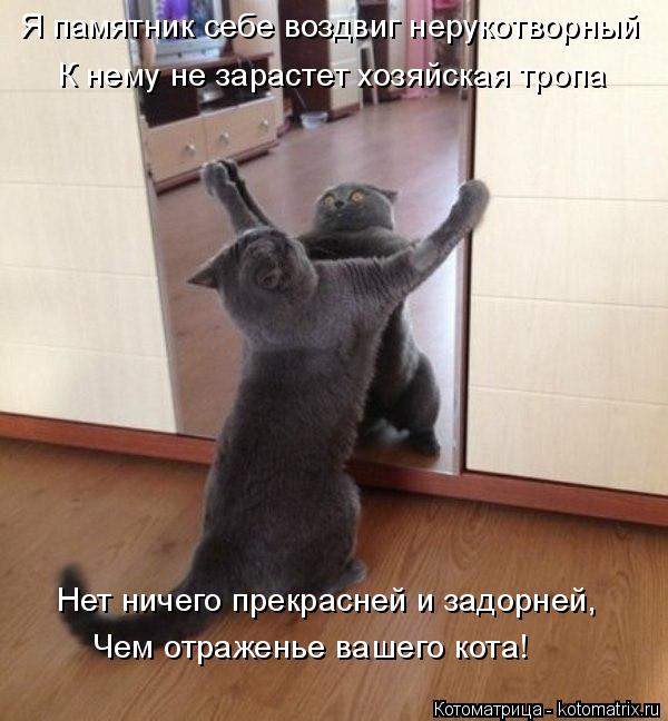 Котоматрица: Я памятник себе воздвиг нерукотворный К нему не зарастет хозяйская тропа Нет ничего прекрасней и задорней, Чем отраженье вашего кота!