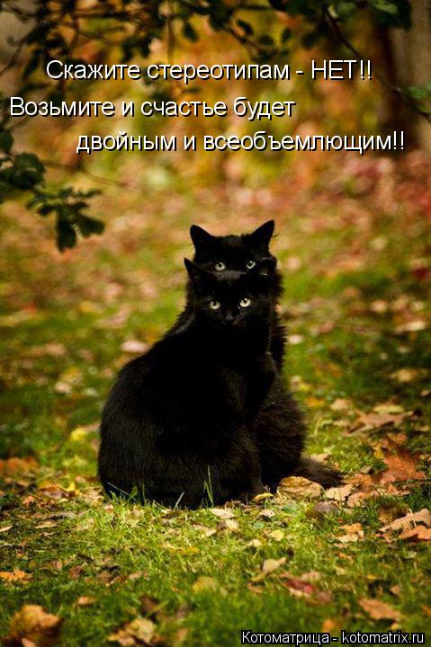 Котоматрица: Скажите стереотипам - НЕТ!! Возьмите и счастье будет двойным и всеобъемлющим!!