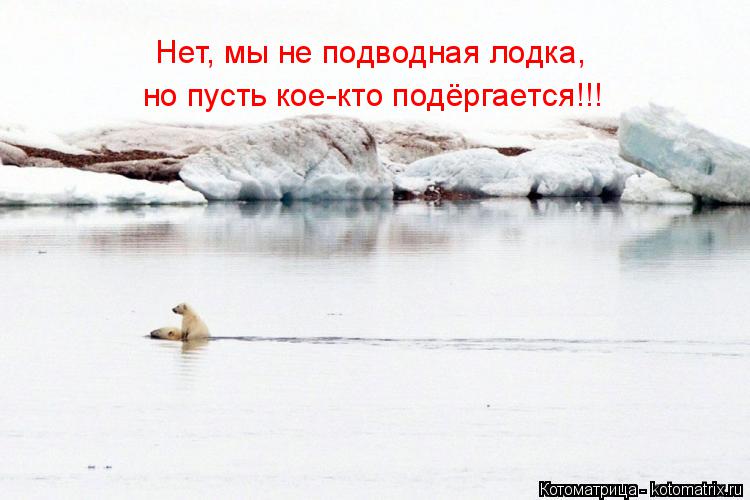 Котоматрица: Нет, мы не подводная лодка,  но пусть кое-кто подёргается!!!