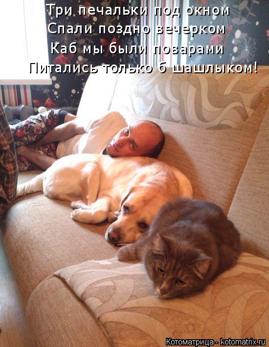 Котоматрица: Три печальки под окном Спали поздно вечерком Каб мы были поварами Питались только б шашлыком!