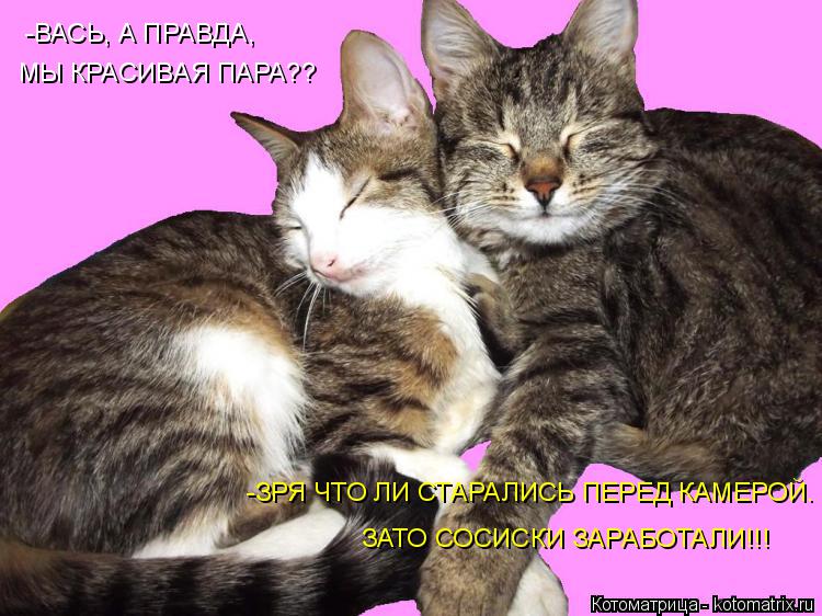 Котоматрица: -ВАСЬ, А ПРАВДА,  МЫ КРАСИВАЯ ПАРА?? -ЗРЯ ЧТО ЛИ СТАРАЛИСЬ ПЕРЕД КАМЕРОЙ. ЗАТО СОСИСКИ ЗАРАБОТАЛИ!!!
