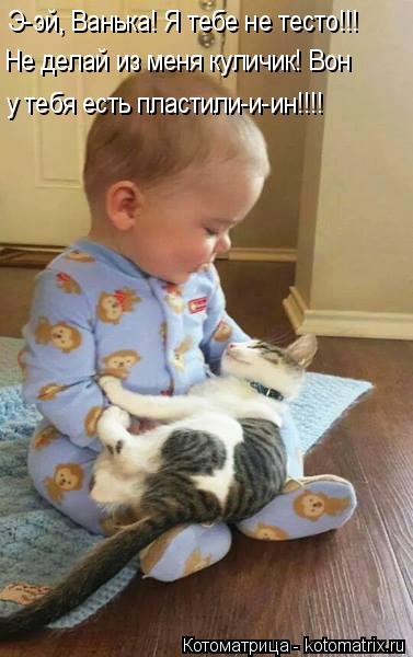 Котоматрица: Э-эй, Ванька! Я тебе не тесто!!! Не делай из меня куличик! Вон у тебя есть пластили-и-ин!!!!