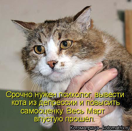 Котоматрица: Срочно нужен психолог, вывести  кота из депрессии и повысить самооценку. Весь Март  впустую прошёл.