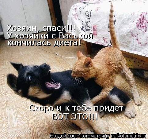 Котоматрица: Хозяин, спаси!!! У хозяйки с Васькой  кончилась диета! Скоро и к тебе придет ВОТ ЭТО!!!