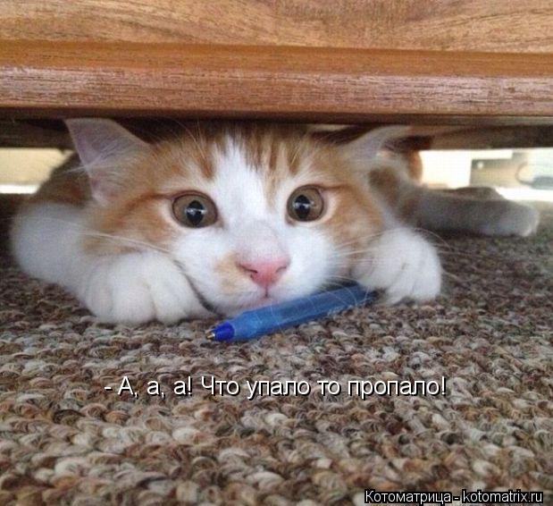 Котоматрица: - А, а, а! Что упало то пропало!