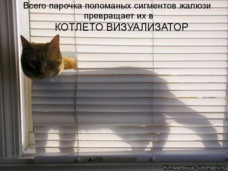 Котоматрица: Всего парочка поломаных сигментов жалюзи превращает их в  КОТЛЕТО ВИЗУАЛИЗАТОР