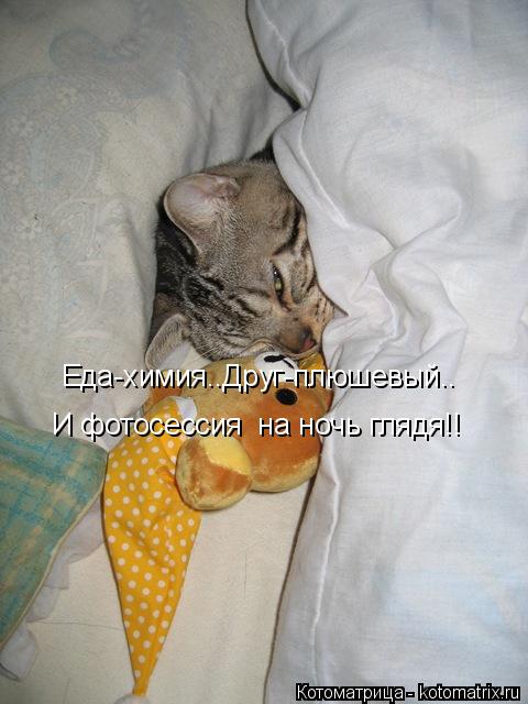 Котоматрица: Еда-химия..Друг-плюшевый.. И фотосессия  на ночь глядя!!