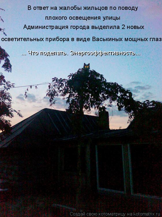 Котоматрица: В ответ на жалобы жильцов по поводу плохого освещения улицы Администрация города выделила 2 новых  осветительных прибора в виде Васькиных 
