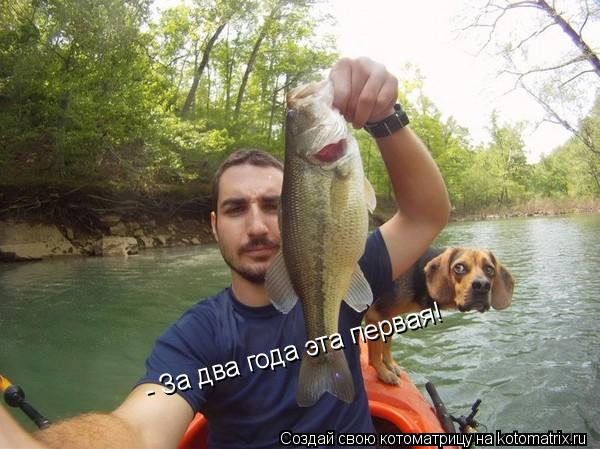 Котоматрица: - За два года эта первая!