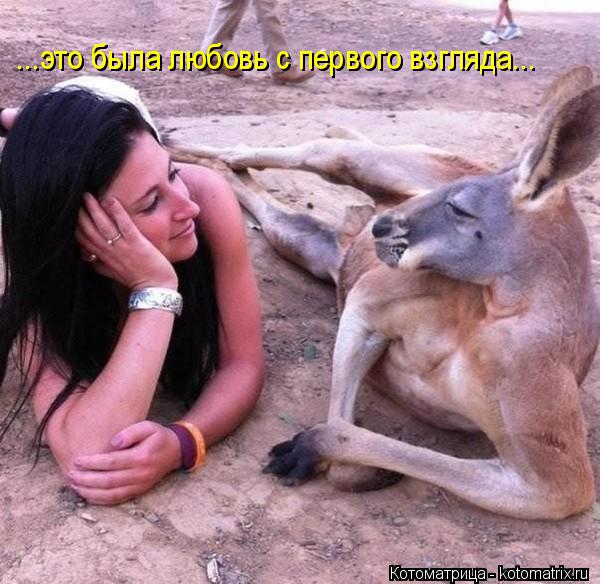 Котоматрица: ...это была любовь с первого взгляда...