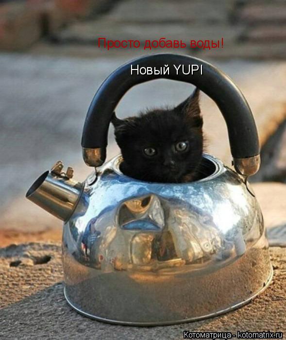Котоматрица: Новый YUPI Просто добавь воды!