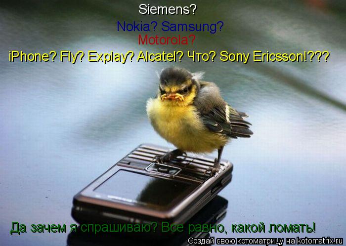 Котоматрица: Siemens? Nokia? Samsung? Motorola? iPhone? Fly? Explay? Alcatel? Что? Sony Ericsson!??? Да зачем я спрашиваю? Все равно, какой ломать!