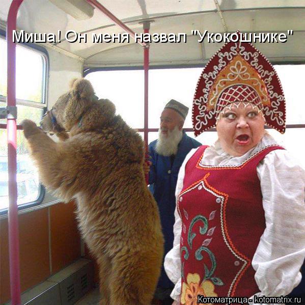 Котоматрица: Миша! Он меня назвал "Укокошнике"