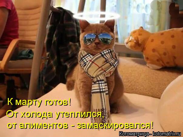 Котоматрица: К марту готов! От холода утеплился, от алиментов - замаскировался!