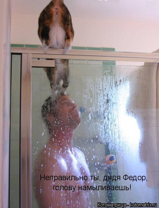 Котоматрица: Неправильно ты, дядя Федор, голову намыливаешь!