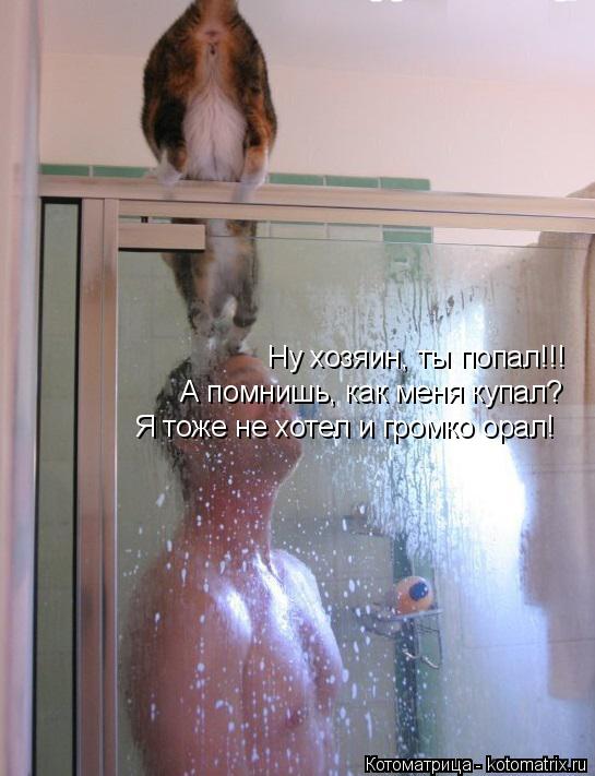 Котоматрица: Ну хозяин, ты попал!!! А помнишь, как меня купал? Я тоже не хотел и громко орал!