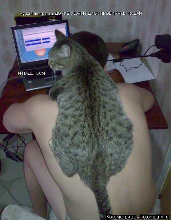 Котоматрица: ну дай поиграть в ДОТУ 2 ХВАТИТ ДИСК ПРОВИРЯТЬ НУ ДАЙ  И НАДЕНЬСЯ