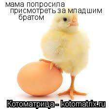 Котоматрица: мама попросила присмотреть за младшим братом