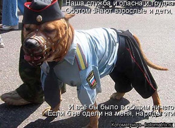 Котоматрица: Наша служба и опасна и трудна, Обэтом знают взрослые и дети, И всё бы было в общим ничего, Если б не одели на меня, наряды эти.