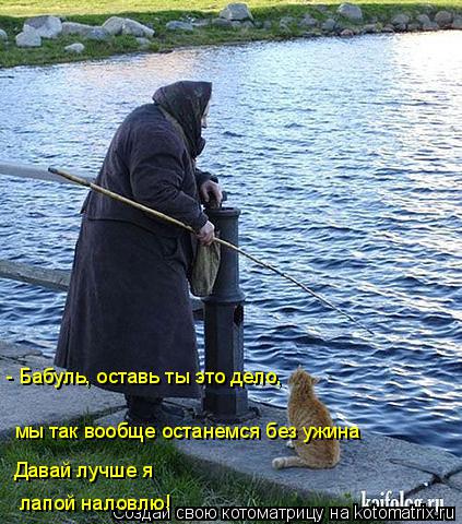Котоматрица: лапой наловлю! Давай лучше я мы так вообще останемся без ужина - Бабуль, оставь ты это дело,