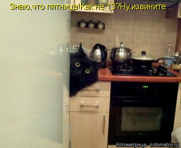 Котоматрица: Знаю,что пятница!Как не 13?Ну,извините...