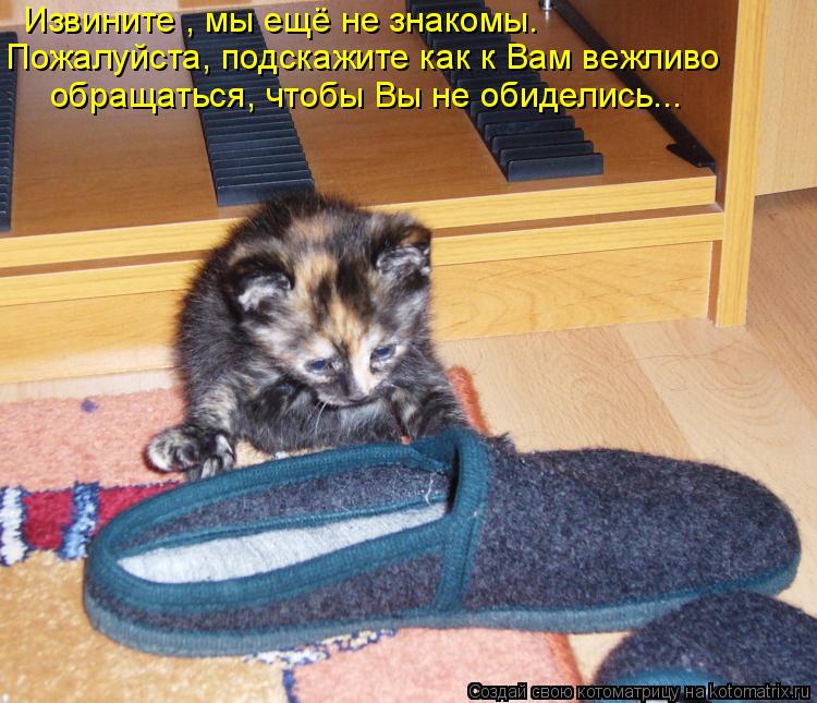 Котоматрица: Извините , мы ещё не знакомы. Пожалуйста, подскажите как к Вам вежливо обращаться, чтобы Вы не обиделись...