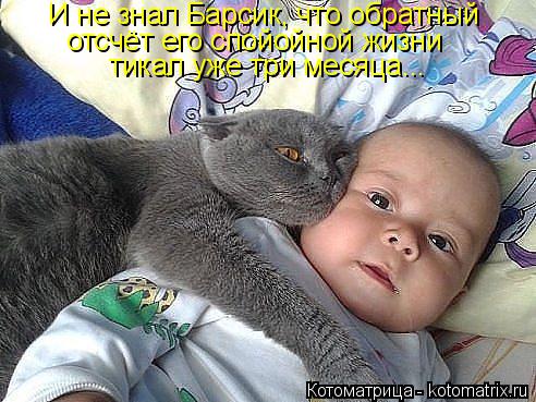Котоматрица: И не знал Барсик, что обратный отсчёт его спойойной жизни тикал уже три месяца...