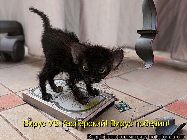 Котоматрица: Вирус VS Касперский! Вирус победил!