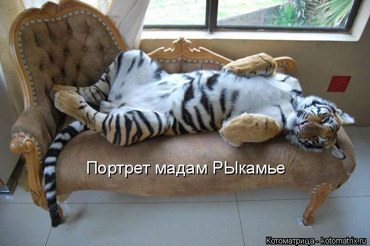 Котоматрица: Портрет мадам РЫкамье
