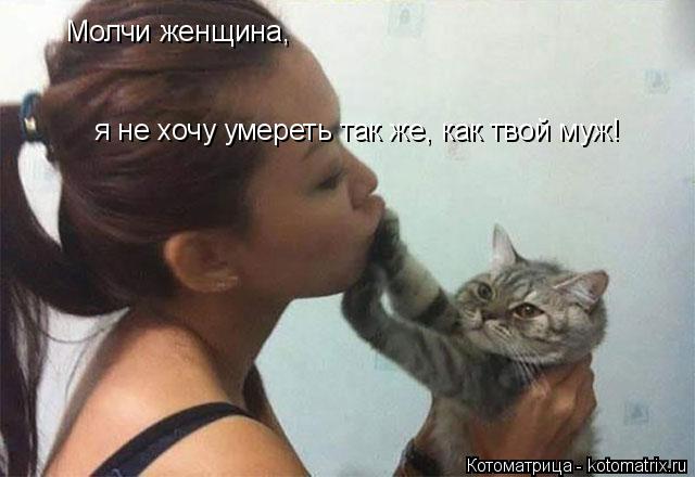 Котоматрица: Молчи женщина, я не хочу умереть так же, как твой муж!