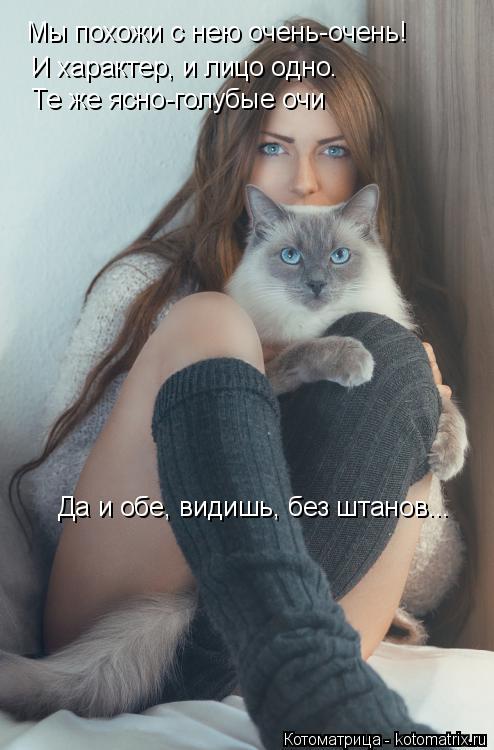 Котоматрица: Мы похожи с нею очень-очень! И характер, и лицо одно. Те же ясно-голубые очи Да и обе, видишь, без штанов...