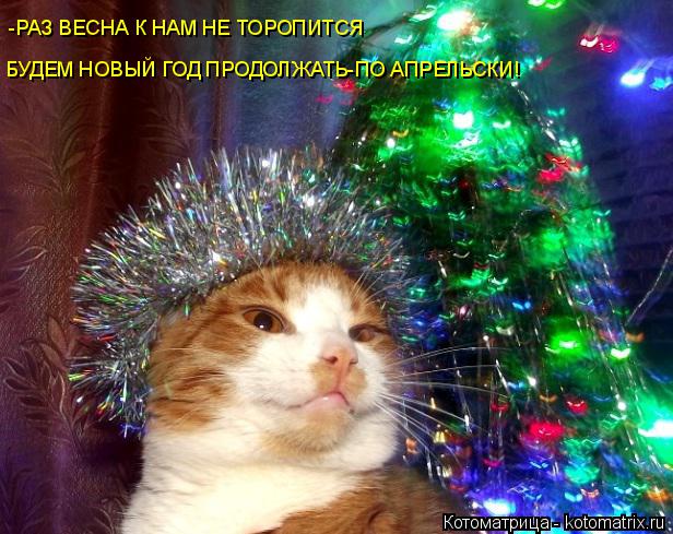 Котоматрица: -РАЗ ВЕСНА К НАМ НЕ ТОРОПИТСЯ БУДЕМ НОВЫЙ ГОД ПРОДОЛЖАТЬ-ПО АПРЕЛЬСКИ!