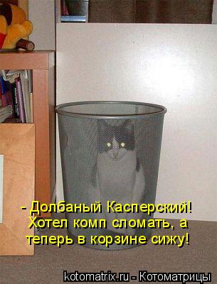 Котоматрица: - Долбаный Касперский!  Хотел комп сломать, а  теперь в корзине сижу!
