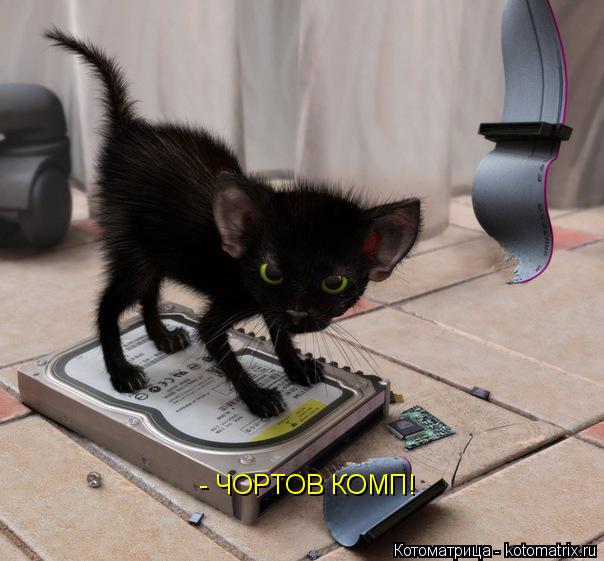 Котоматрица: - ЧОРТОВ КОМП!