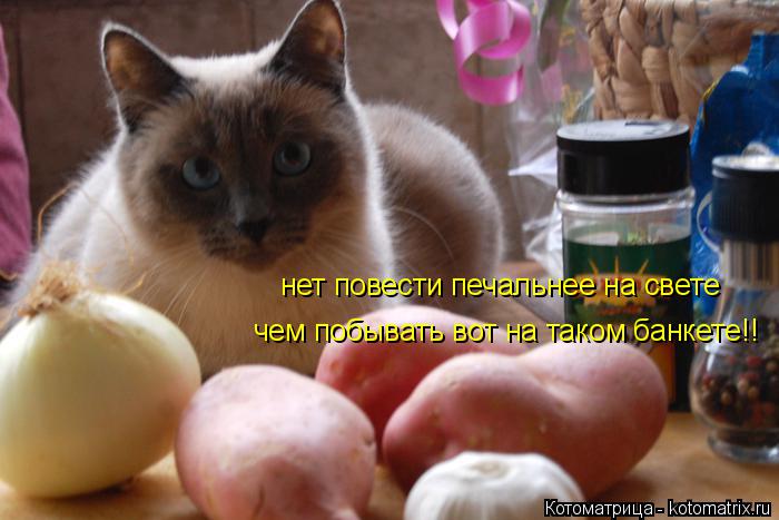 Котоматрица: нет повести печальнее на свете чем побывать вот на таком банкете!!