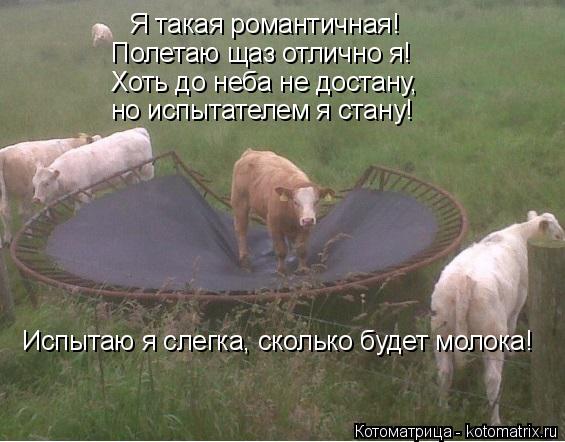 Котоматрица: Я такая романтичная! Полетаю щаз отлично я! Хоть до неба не достану, но испытателем я стану! Испытаю я слегка, сколько будет молока!