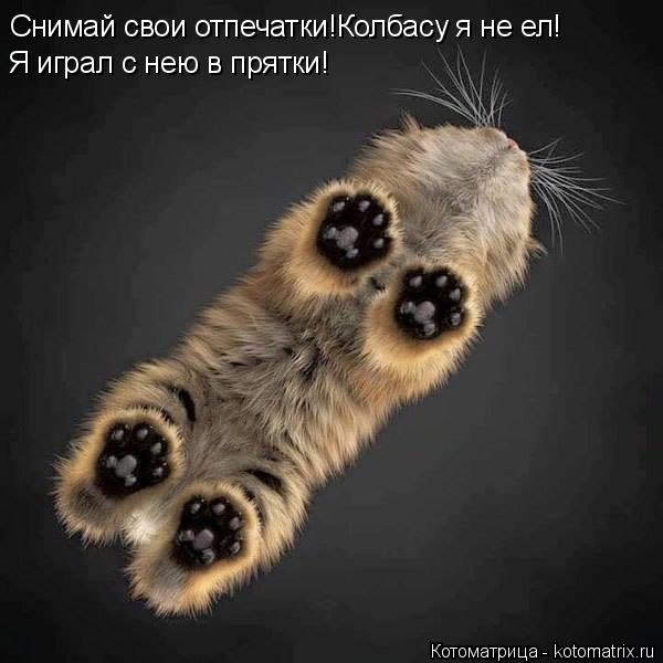 Котоматрица: Я играл с нею в прятки! Снимай свои отпечатки!Колбасу я не ел!