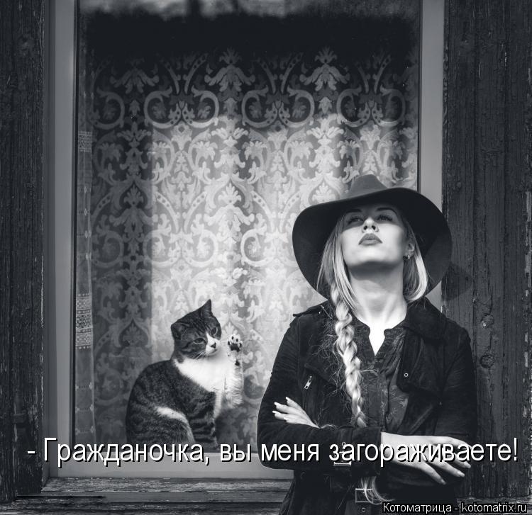- Гражданочка, вы меня загораживаете!... Котоматрица: - Гражданочка, вы меня загораживаете!