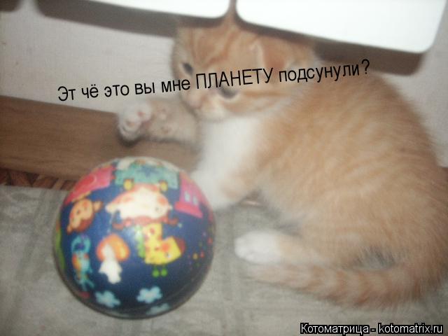 Котоматрица: Эт чё это вы мне ПЛАНЕТУ подсунули?