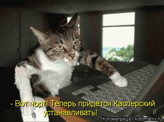 Котоматрица: - Вот чорт! Теперь придётся Касперский  устанавливать!